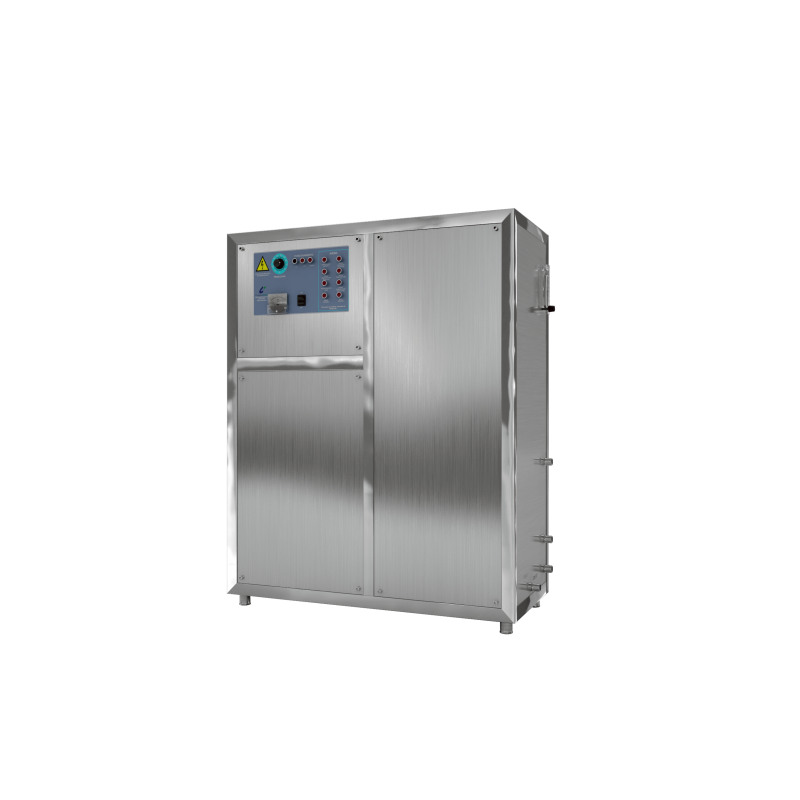 Generador de ozono 80G
